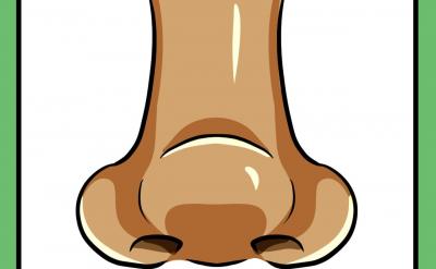 1��&nbsp; ���鱳������(d��ng)�r(sh��)���25�q�x�_���l(xi��ng)...