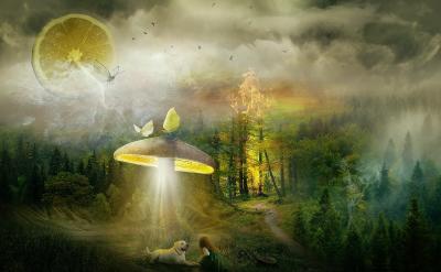 �Z�ģ��o�W��������x����g