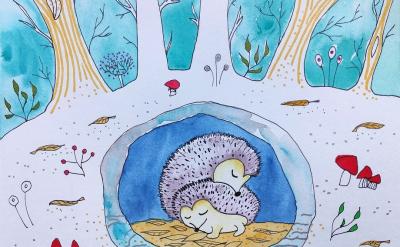 �̺������ܵķ���