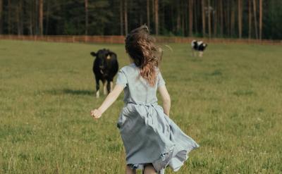 �����������ӣ�