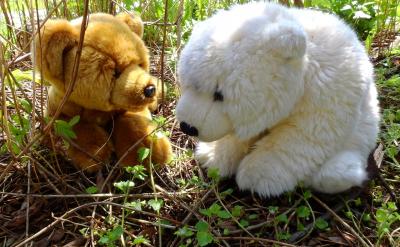 5. ���B؟�θе���Ҫ��