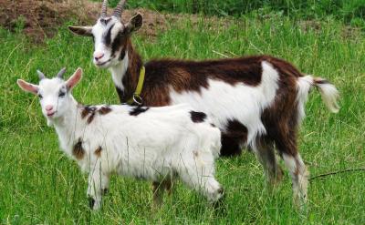 �����m���{�����n�r�g�Ļ�Ӱ��š����_�W��...