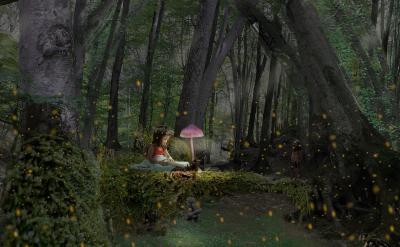 2. �����c����