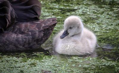 ���������h