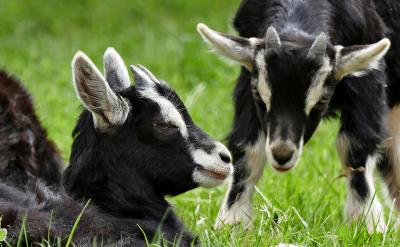 ��1�܏�(f��)��(x��)1����4��Ԫ