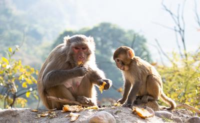 ƪ3�����B���ӌW���Ĳ���