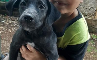 �����P(gu��n)ע