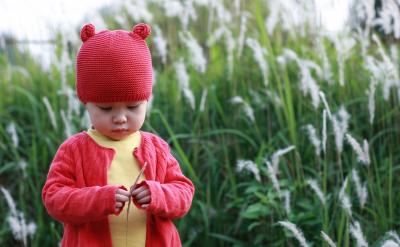 �ڶ�����������Ҫ�����WУ���c�͌W�������c...