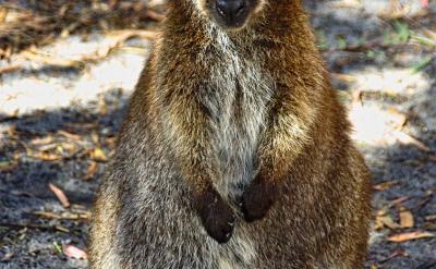 ����e�O�ČW���h��