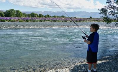 7��ͬ�}�͵Ľ��wҎ�ɺͼ��ɣ�ʹ���ӂ�����...