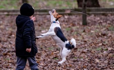 一題多練,對(duì)一些較難的題目從多方面進(jìn)行練...