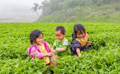 2.���ˏ�(qi��ng)�{(di��o)�ͼӏ�(qi��ng)�Z�⣬ֻ�Ю�(d��ng)Not only�� b...