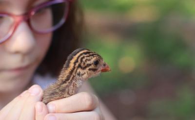 ��15���˿̣�һ�|ꖹ���������M�������Ҹ�...