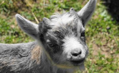 ⑵課堂上的情況