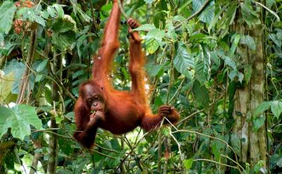 ������ߺ��ӵČW���dȤ