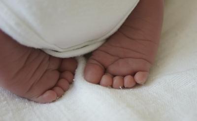 ������һ������������L�ģ�������Ҫ�Ĳ�...