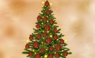 張曉晨也不敢告訴老師和家長,只是偷偷的哭...