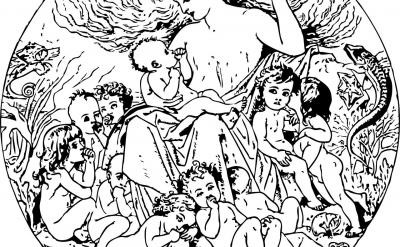 �О鯟������׃�����О飬����罻����