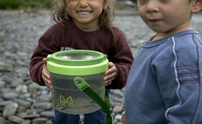 ���ߣ�����ĸ������δ��������Ҏ(gu��)����������...