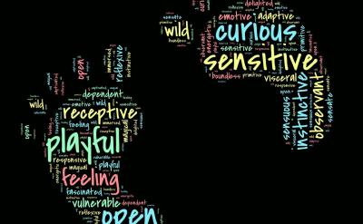 篇5:高考數(shù)學首輪復(fù)習策略與技巧