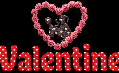 ע����������