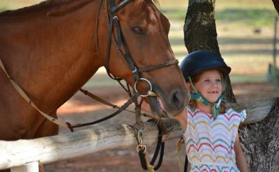 3.��������