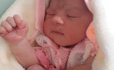 �������n�̌W