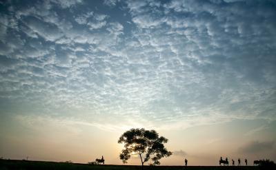 ���⣬������W(xu��)�Ƕȿ����������������豩��...