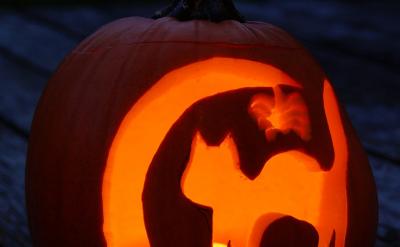 3���n����x�����T