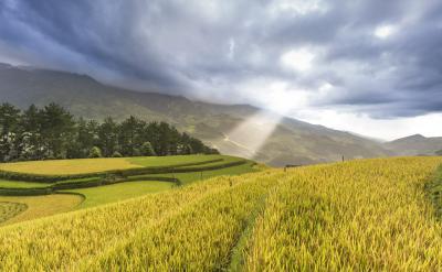 �ӏ�˼�����