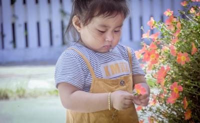 ���Ʒ����Pϵ