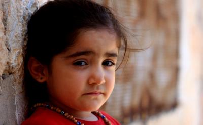 提出自己需要了解的問題,是探究性學習的關...