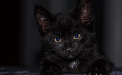 ���׵ĳ��L(zh��ng)��(j��ng)�v���V�҂�����Ń�ͯ�ĳ��L(zh��ng)��...