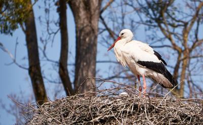 ��Ч��ͨ�������ӌW���ͳ��L