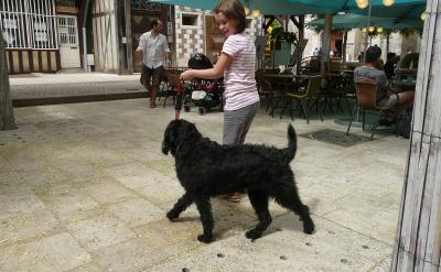 ��N����Ӱ�ӛ����