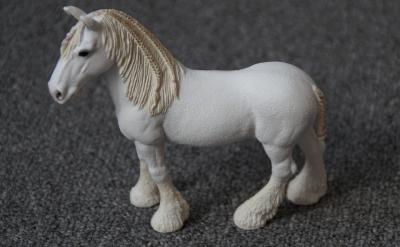 С����İ����@���������e�O��Ͷ�뵽�A����...