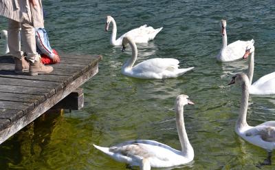 考核要求:(1)理解必然事件、不可能事件...