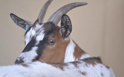 ���ӣ�Ը��M������һ���Ҹ��ĳ�؛����ÿһ...