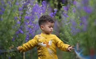 家庭教育的重要性