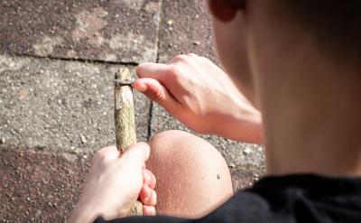 歸納:構建知識的大廈