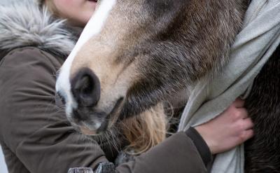 72.��һЩ��λ�Z�����^��λ�����ָ�ľ���...