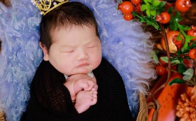 1. �ṩ������