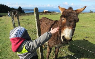 ����Ҏ�ɣ�������Ч����Ļ�ʯ