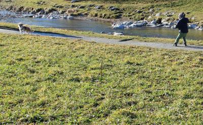 Ո(q��ng)��(w��n)���ҵĺ�����ʲô�Ը��أ���������M(j��n)�к��ӵĽ������أ��gӭ����һ��ӑՓ��