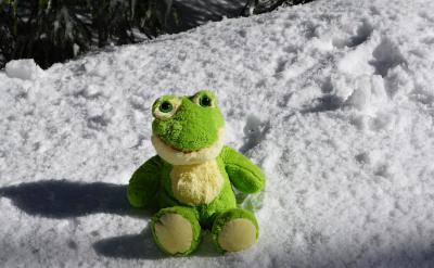 �ڃA ���ӵ���w�r�����L߀��(y��ng)ԓע���Լ���...