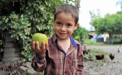 Ӱ����w����