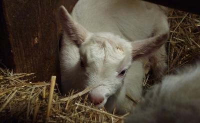 ��֮��Ҫ���B�������ӌW���ͪ����W���ĺ���...