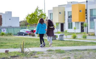 1、狀態: 固態:飽和高級脂肪酸、脂肪...