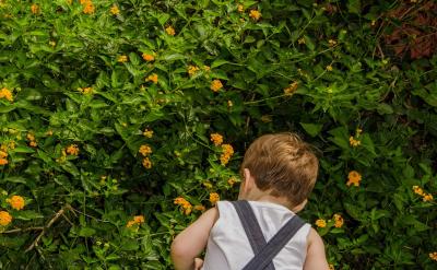 �����ⲿ�Ď������W������Ҳ��Ҫ�W���{����...