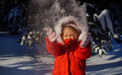 ��ĸ�������Ӳ� Ԓ�ķ���